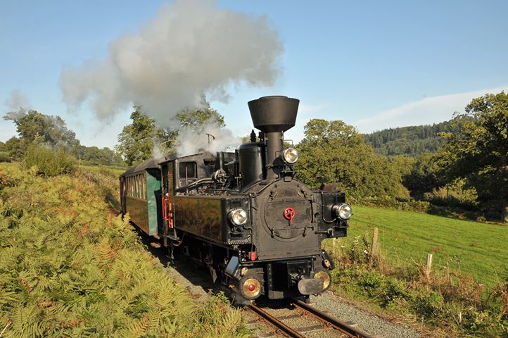 Fish & Chips Train