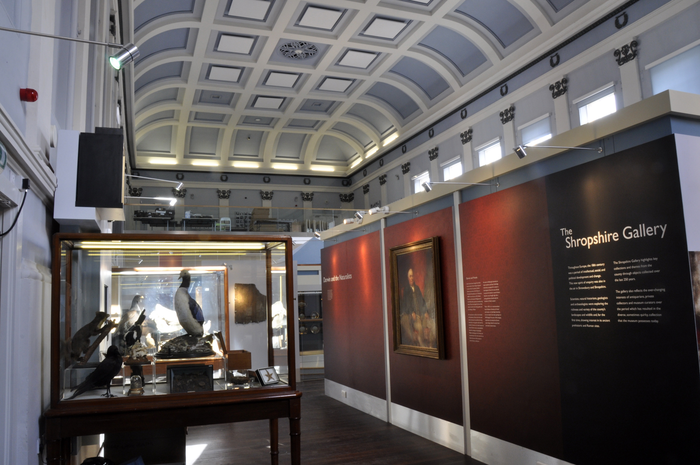 shrewsbury museum and art gallery tours