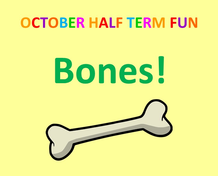 October Half Term Activity - Bones!
