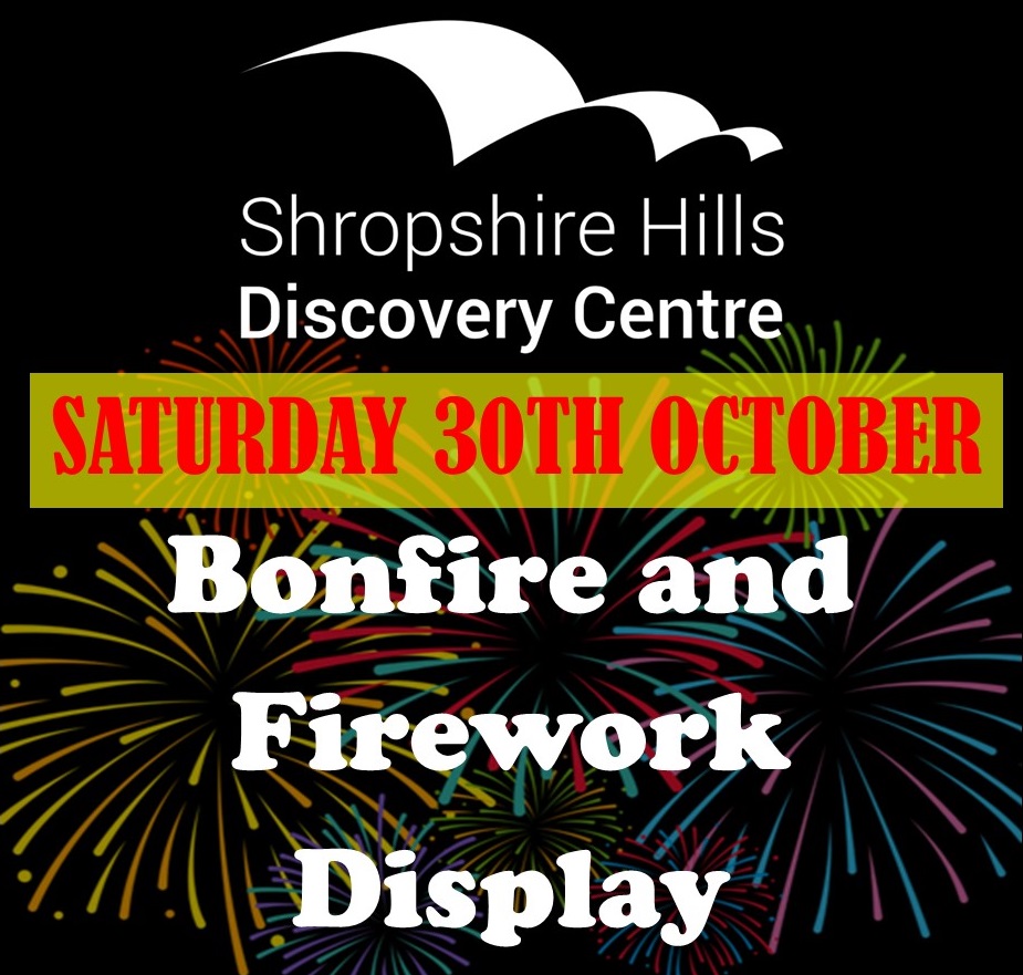 Bonfire and Firework Display