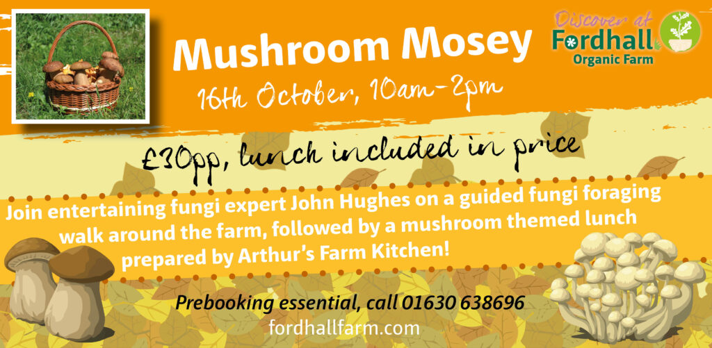 Mushroom Mosey