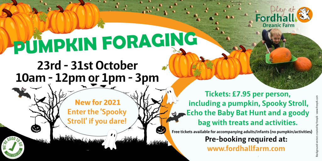 Pumpkin Foraging