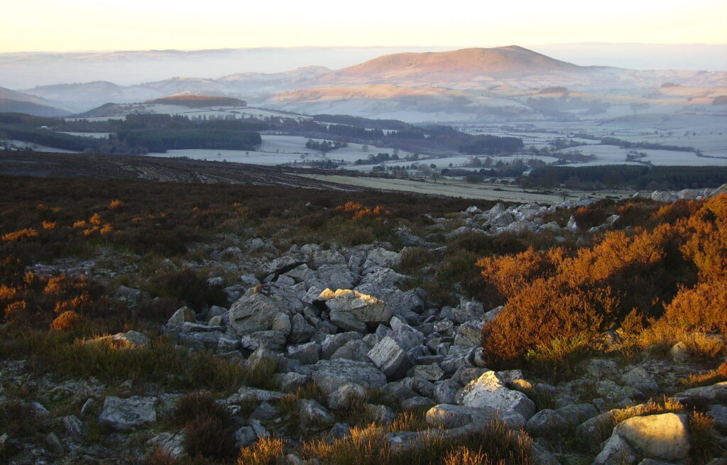 Shropshire Welcomes… Curious visitors