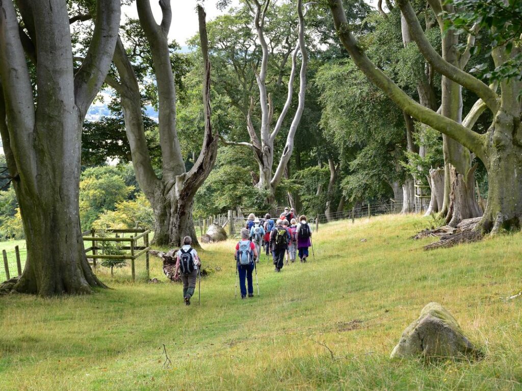 Bishops Castle Walking Festival