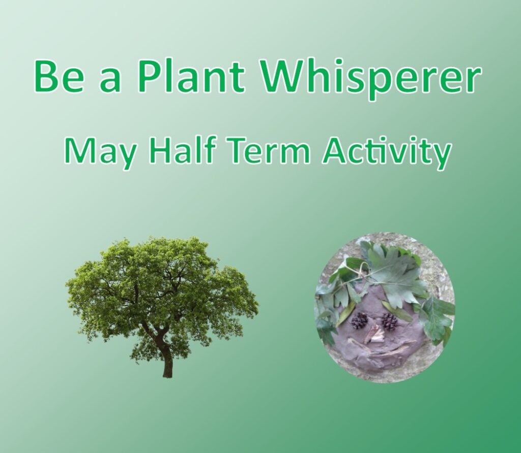 Be a Plant Whisperer - May Half Term Activity