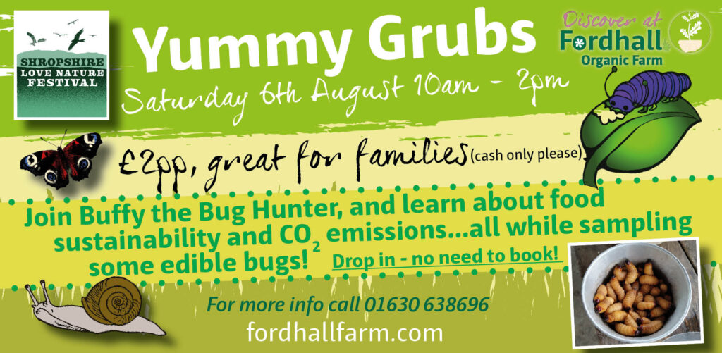 Yummy Grubs