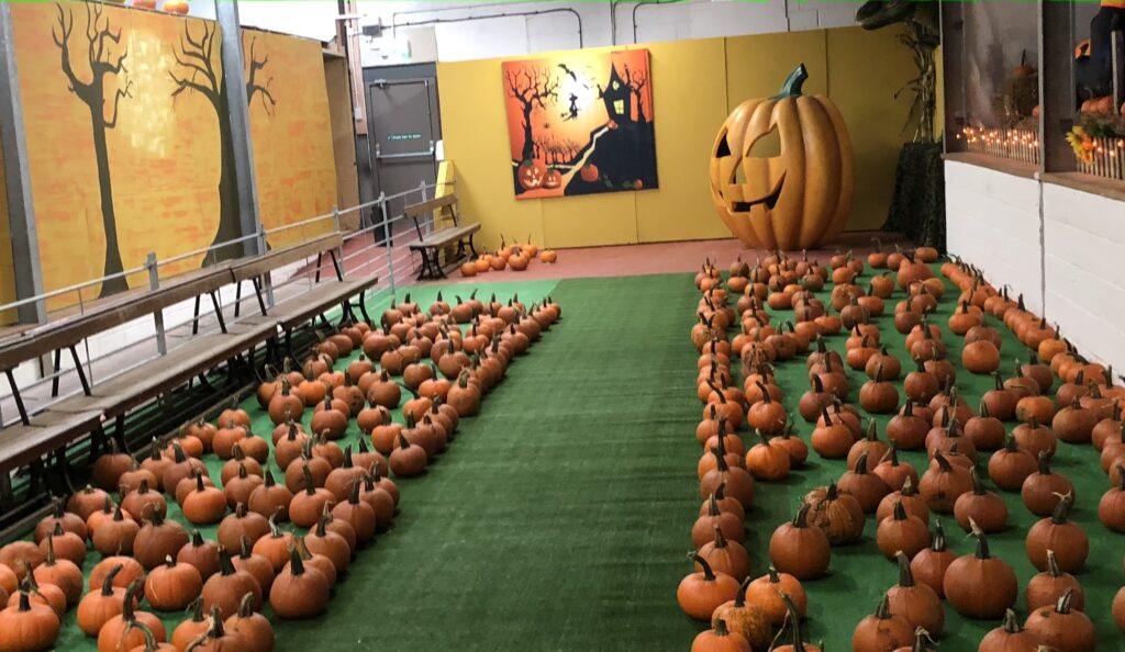 Halloween Fun Promised at Pumpkinfest Event!