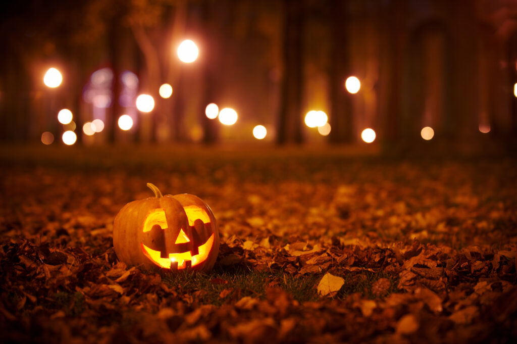October Half Term Activities
