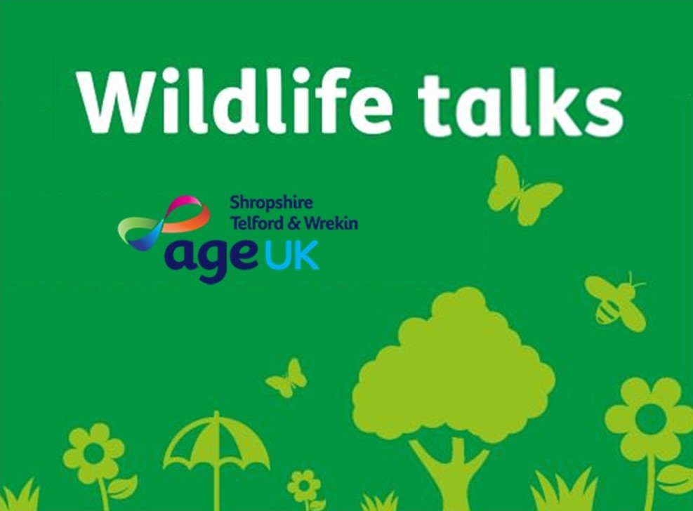 Talk on Hay Meadows