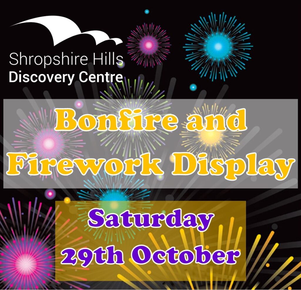 Bonfire and Firework Display
