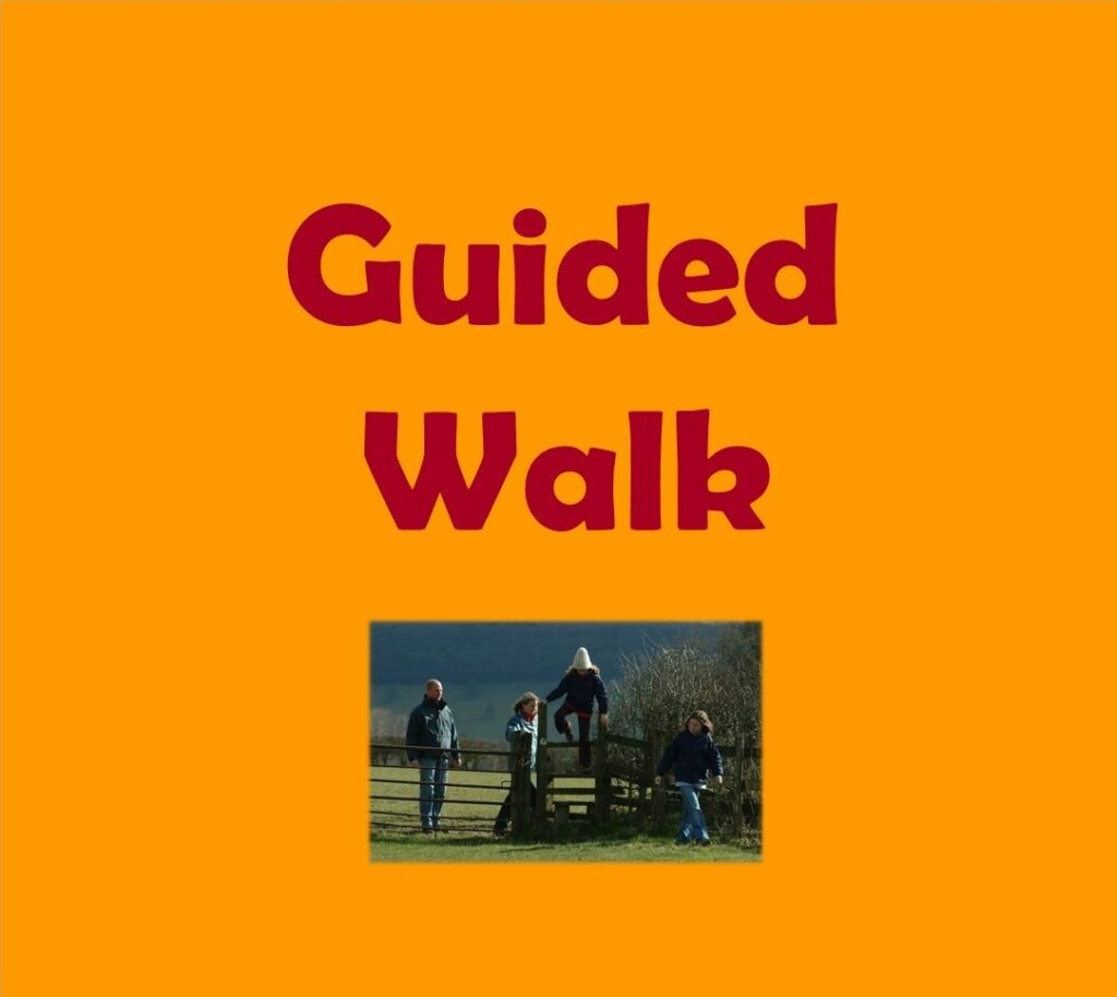 Autumn's Beauty Guided Walk
