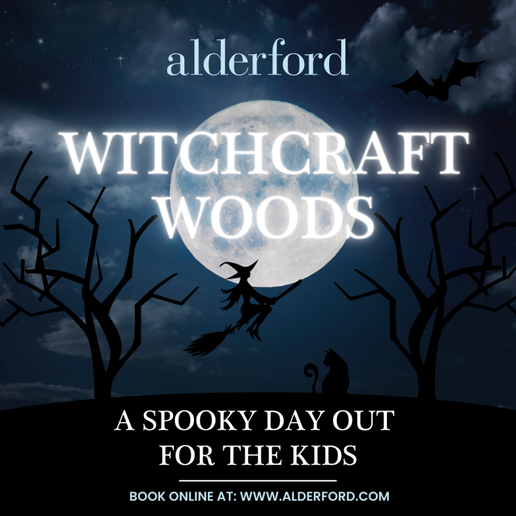 Witchcraft Woods