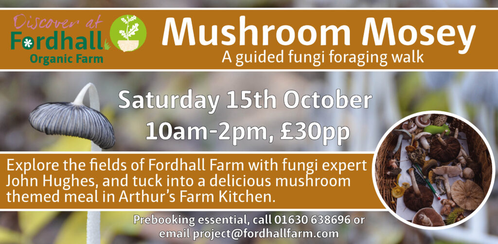 Mushroom Mosey at Fordhall Organic Farm