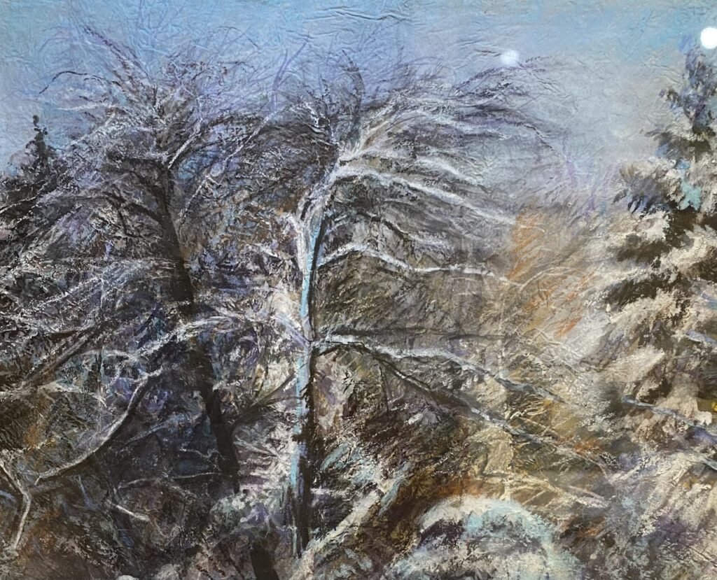 Watercolour Workshop