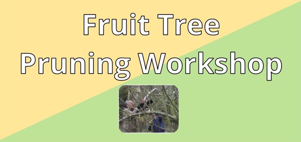 Fruit Tree Pruning Workshop