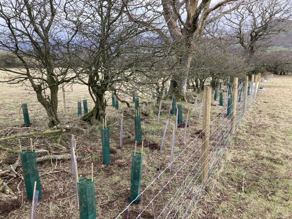 Nature Conservation in the Shropshire Hills