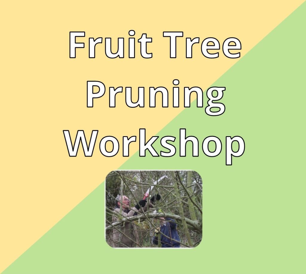 Fruit Tree Pruning Workshop