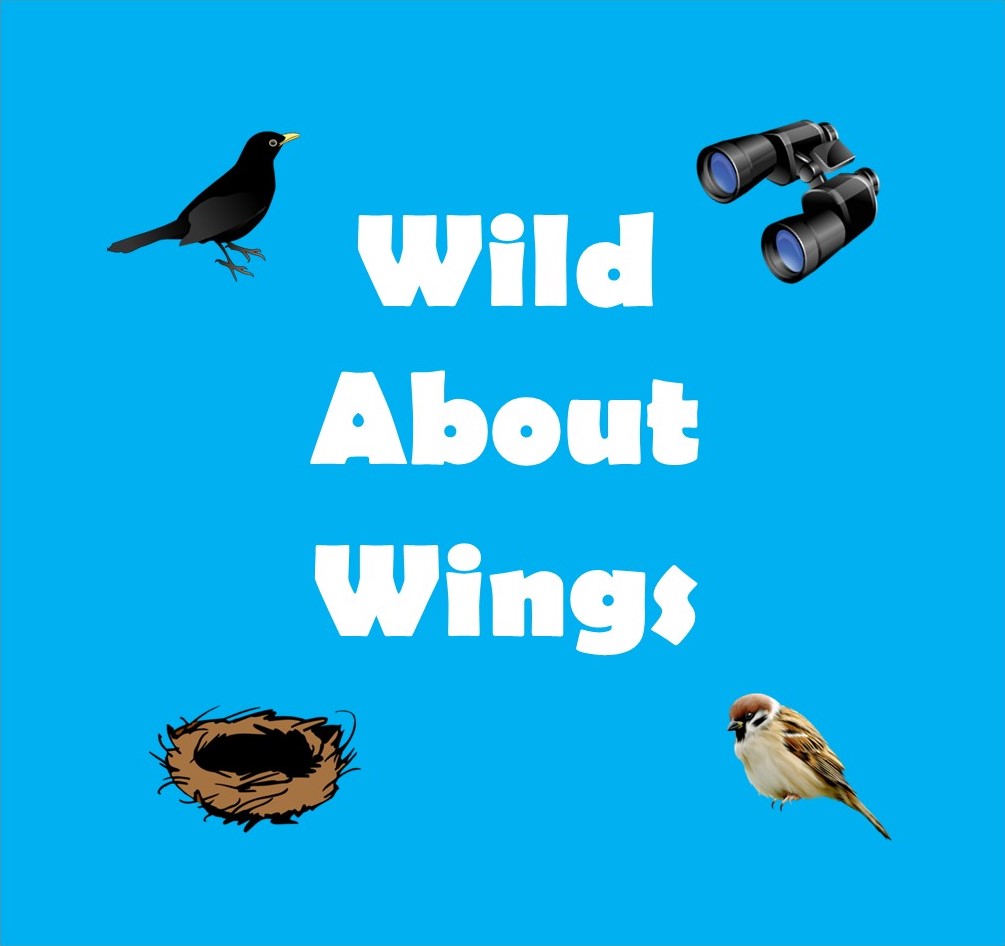 Wild About Wings