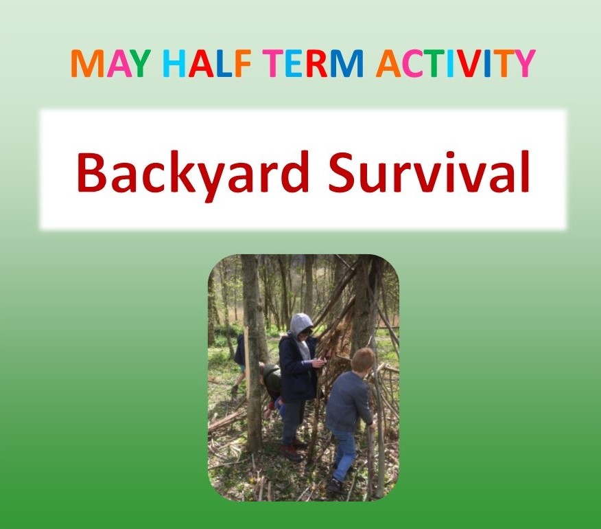 Backyard Survival