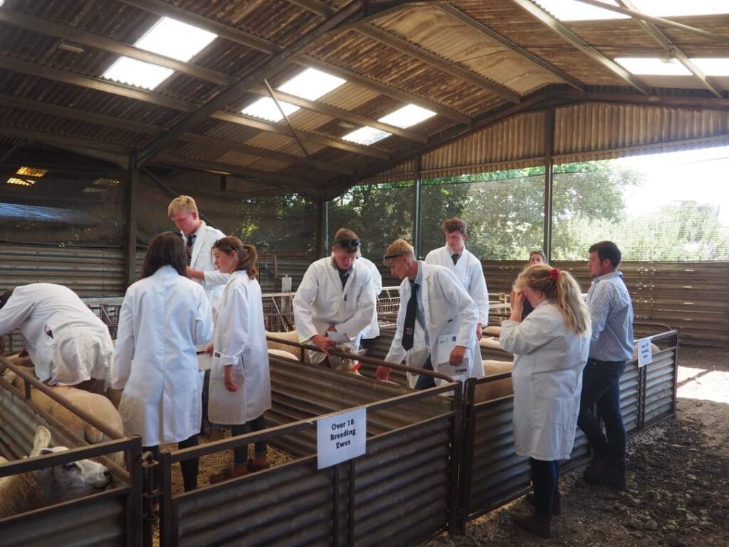 Burwarton Show Young Farmers Stock Judging Competition