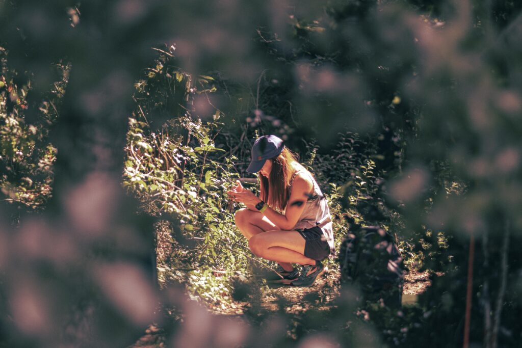 Escape island at Alderford Lake