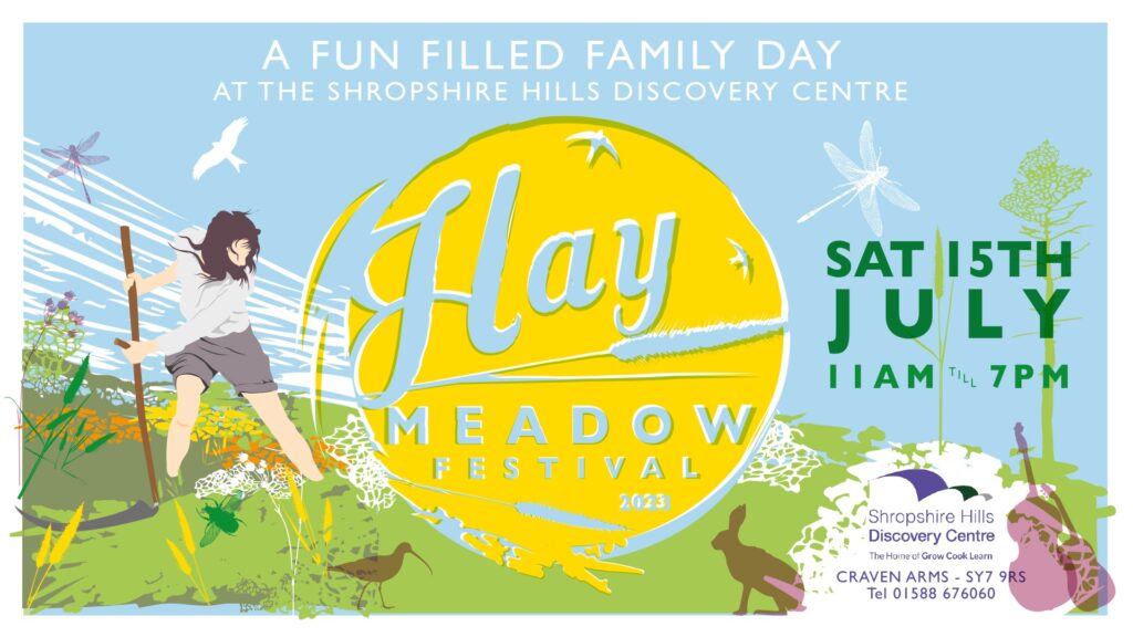 Hay Meadow Festival
