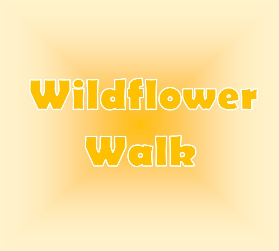Wildflower Walk