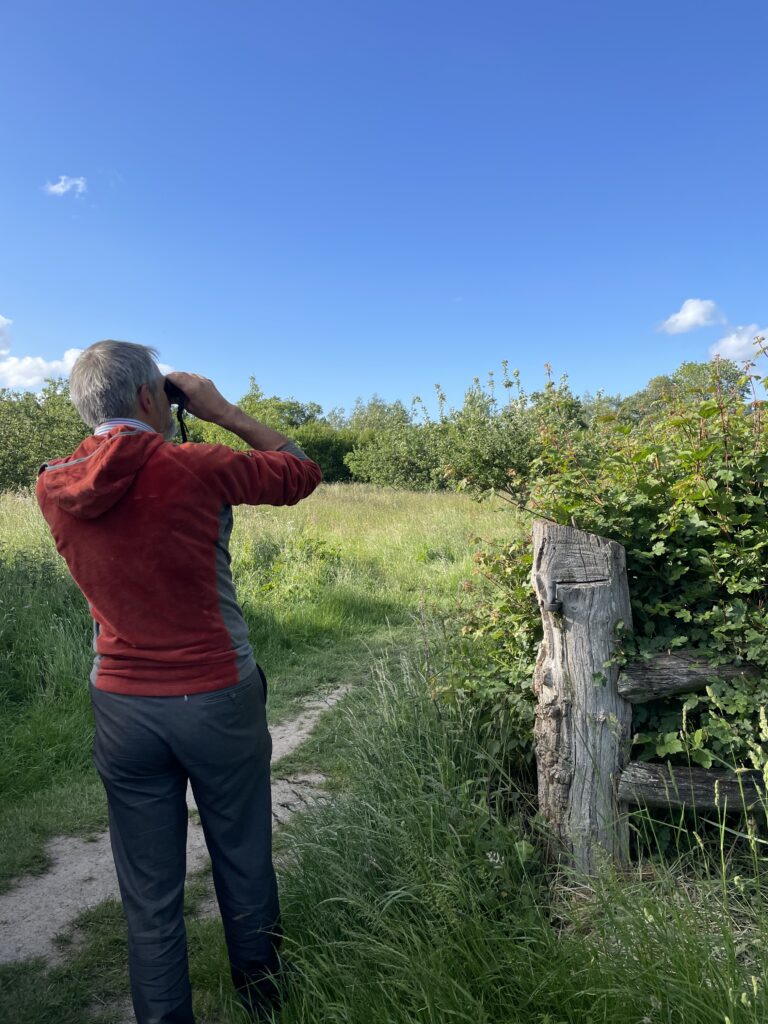 Midsummer Guided Bird Walk