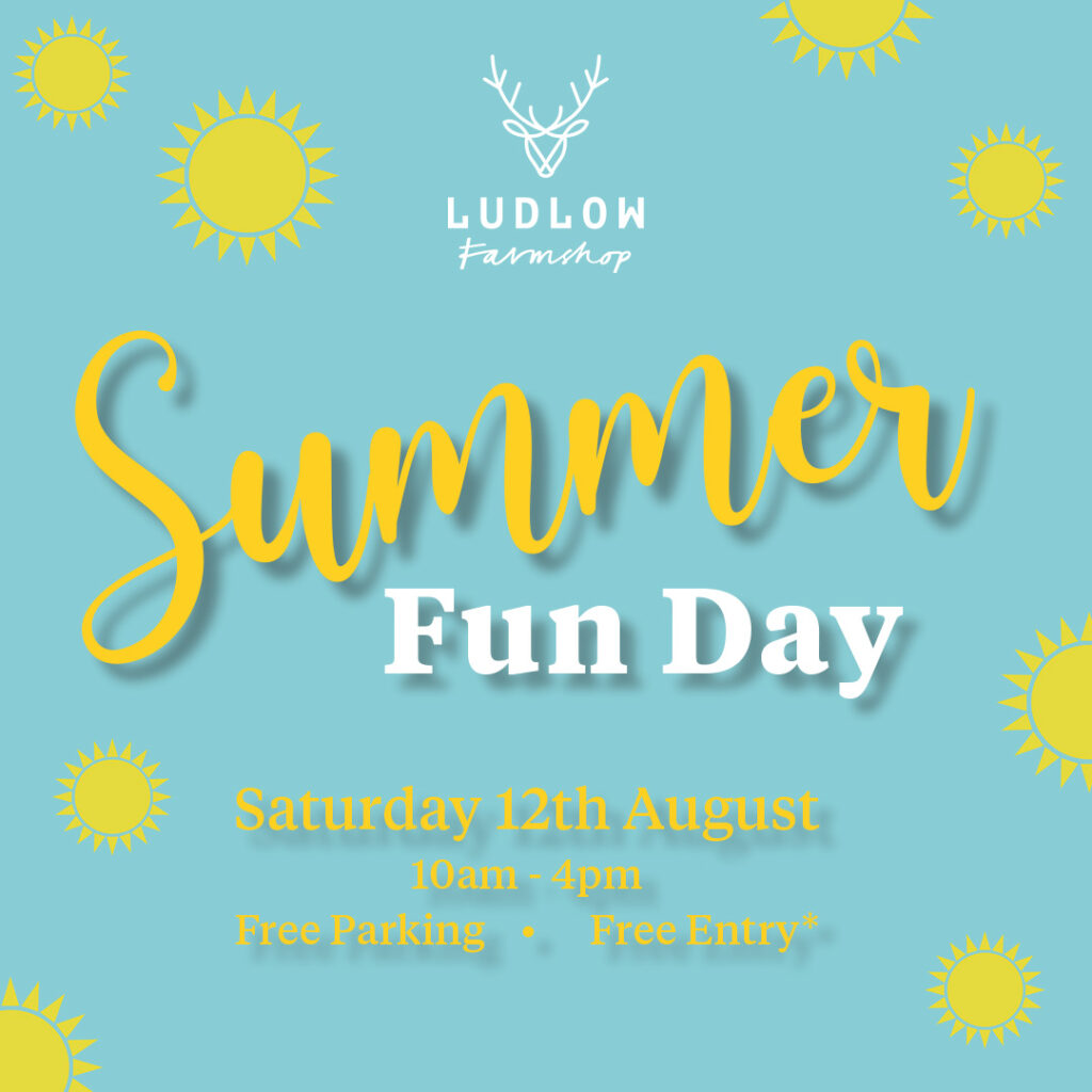 Summer Fun Day