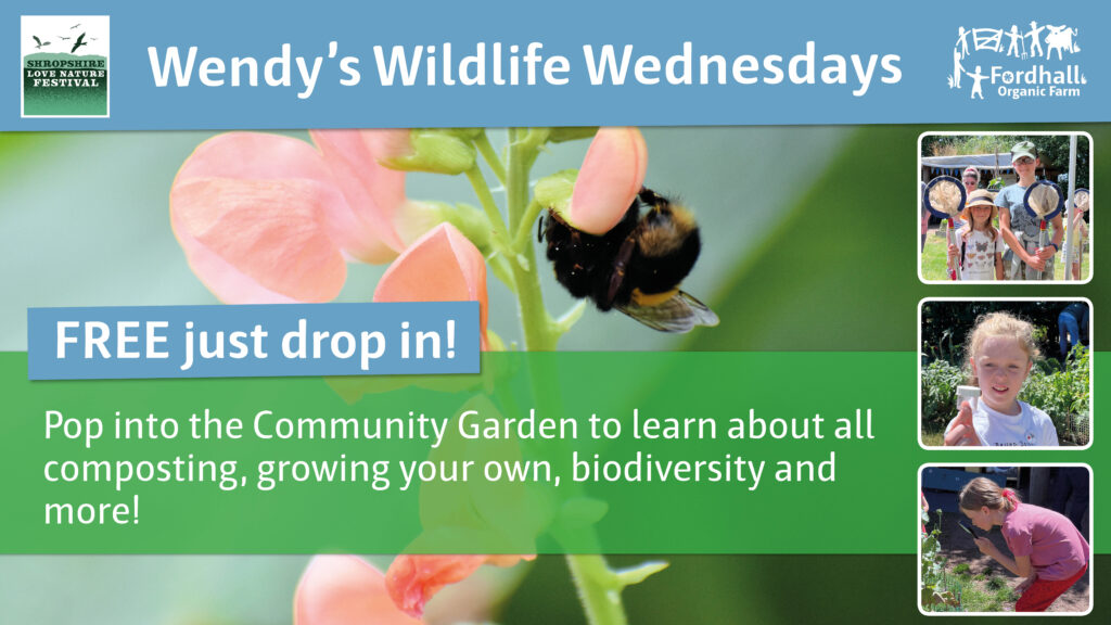 Wendy’s Wildlife Wednesdays