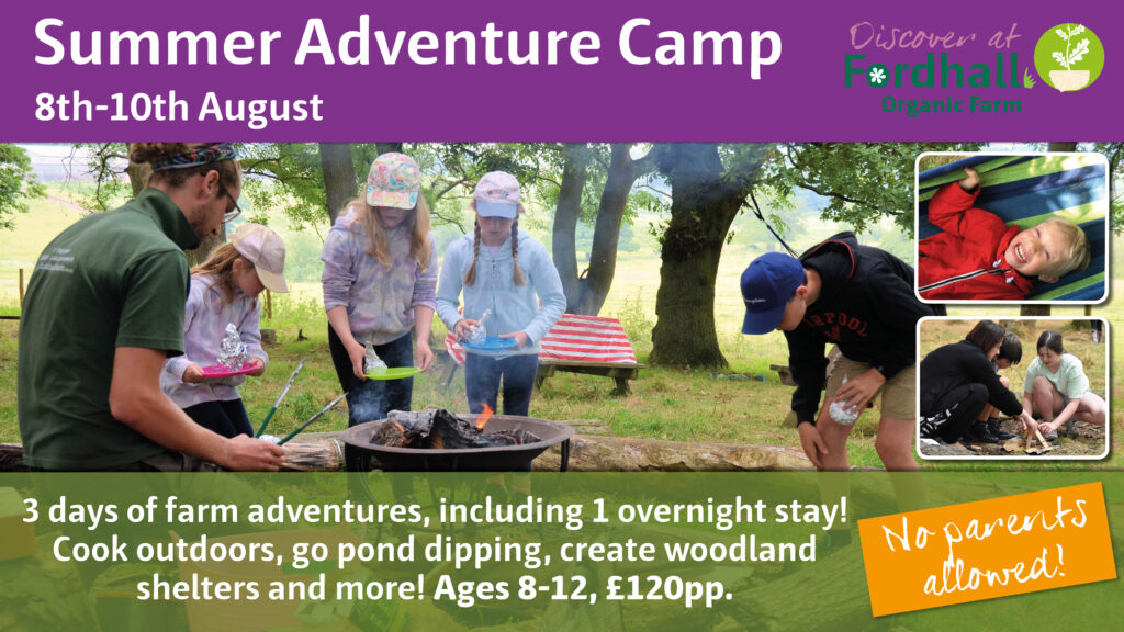 Summer Adventure Camp