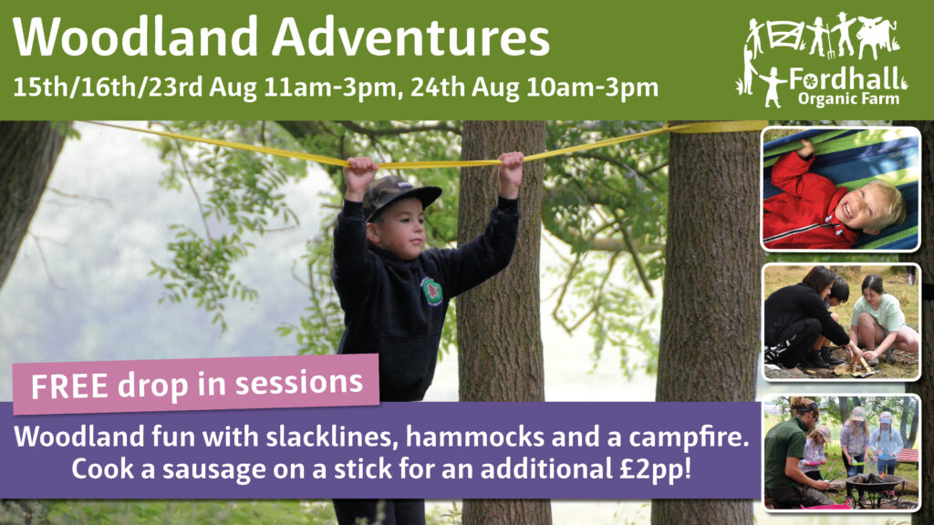 Woodland Adventures - FREE drop in event