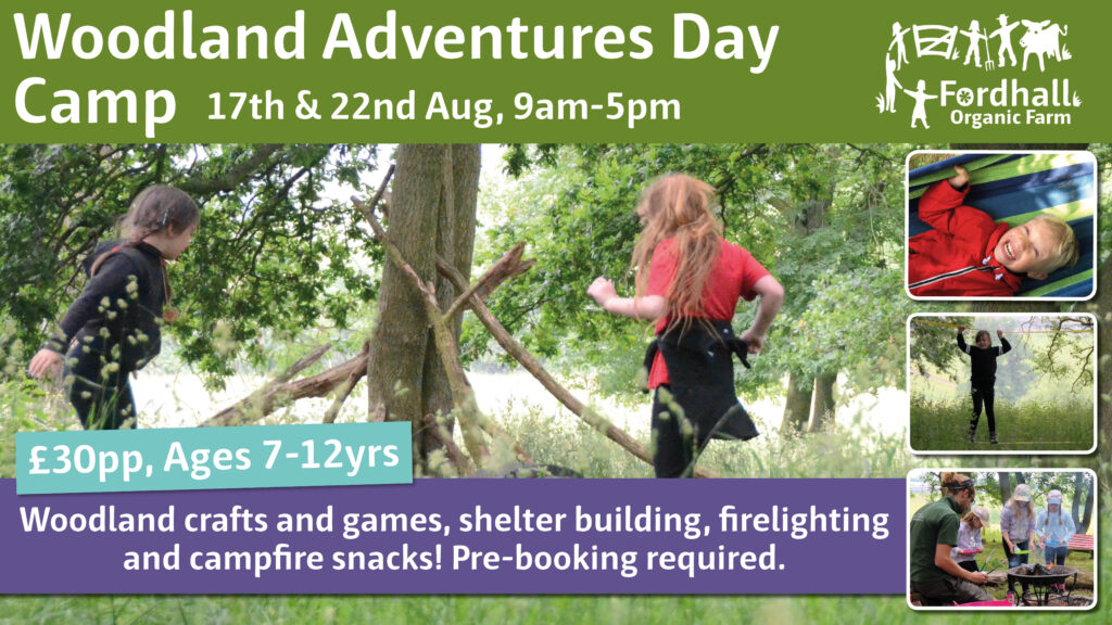 Woodland Adventures Day Camp