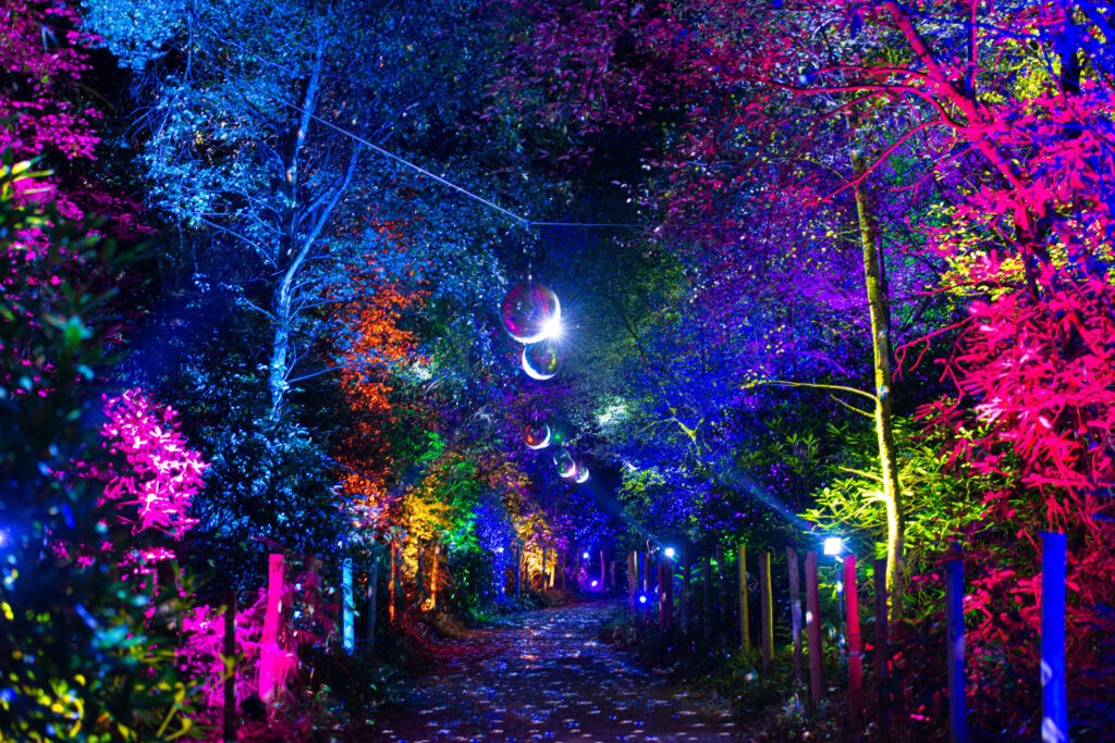 Get tickets to BeWILDerwood Cheshire’s Halloween event & get 50% off daytime tickets this October half term!