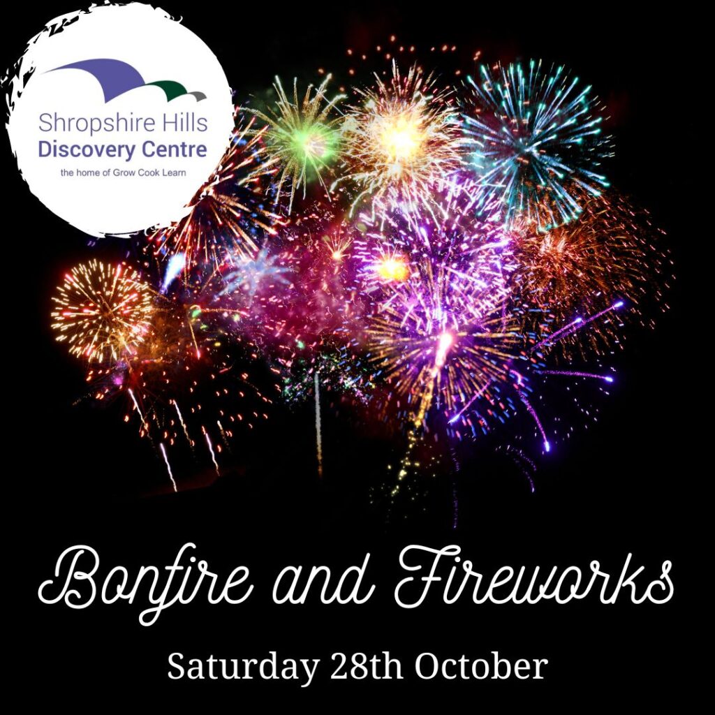 Bonfire and Firework Display