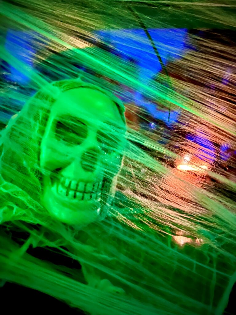 Ghost Cruises