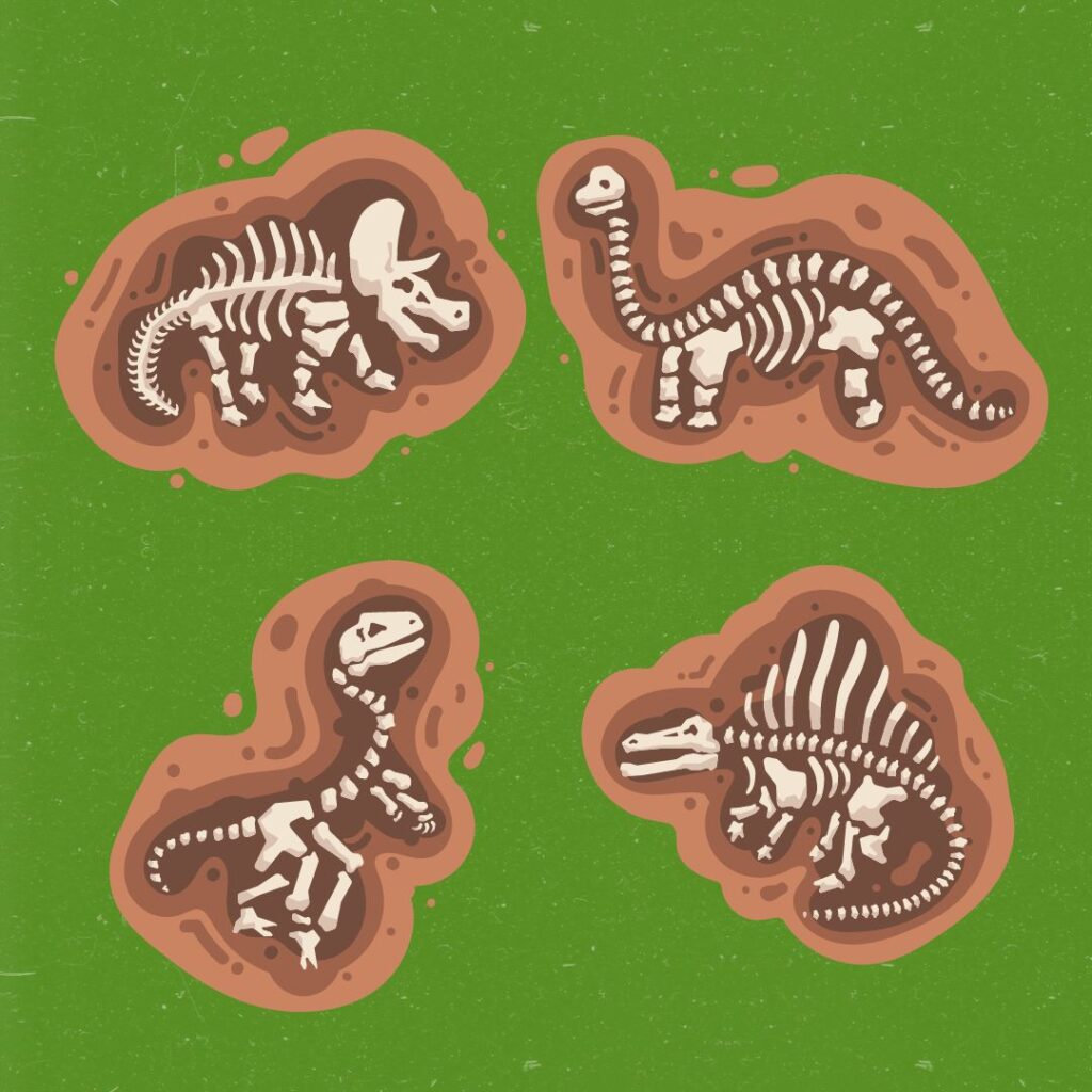 Mary Anning and the Dinosaurs - February Half Term Activity