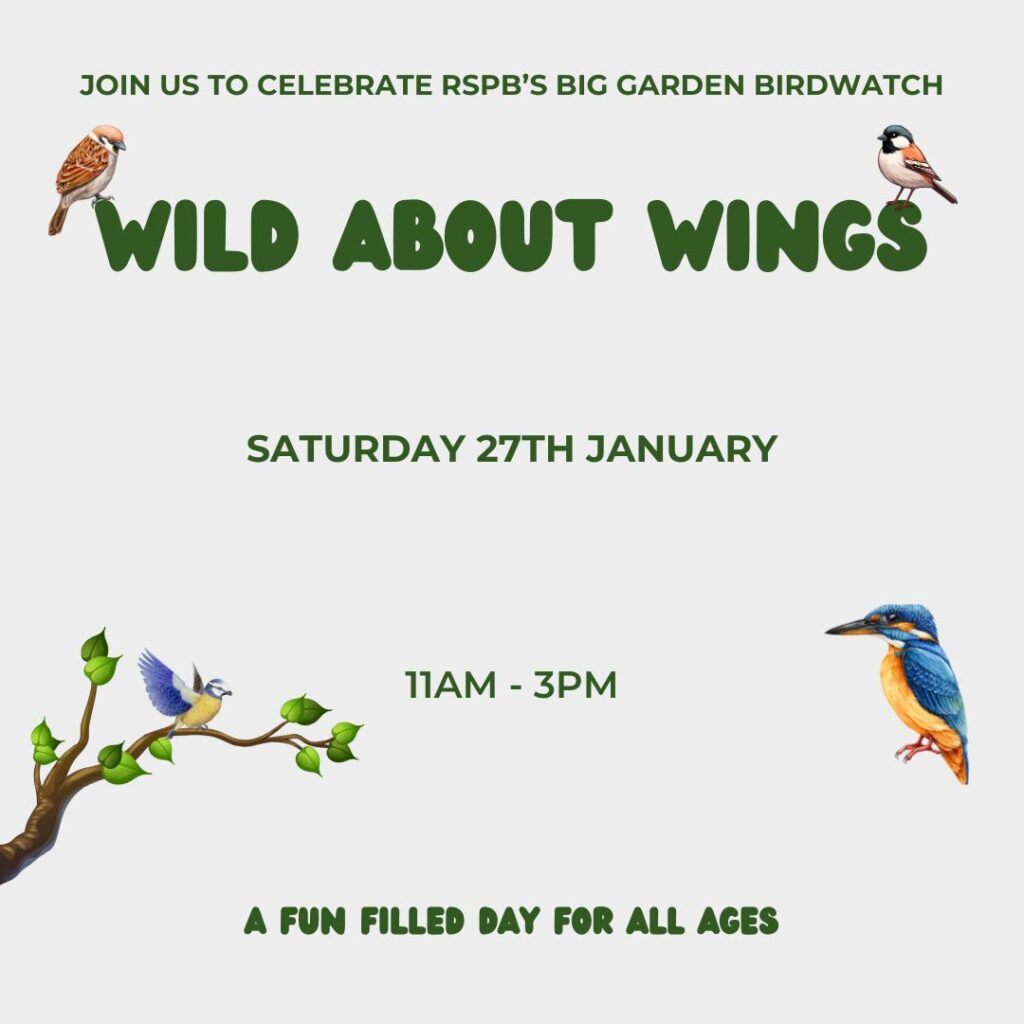 Wild About Wings