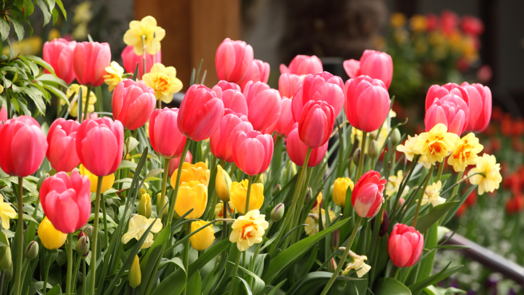 Spring Wreath Making Workshop