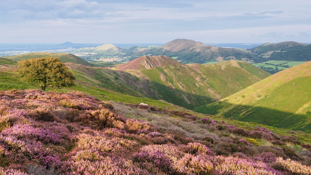 Guided walking tours in Shropshire with B&B | Mynd House