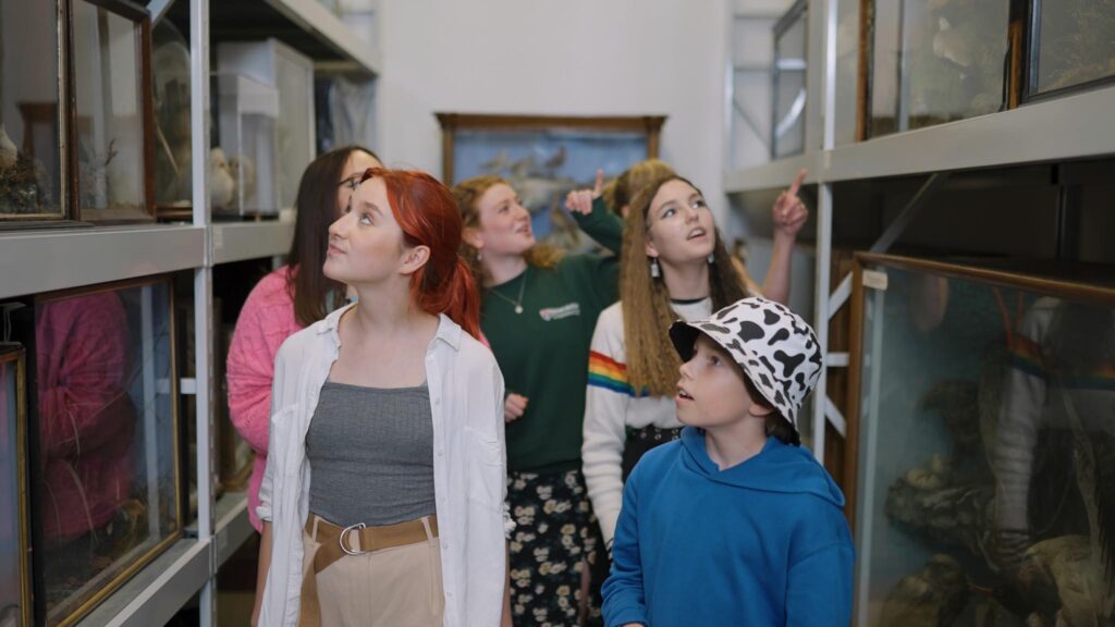 Shropshire Museums Collection Centre - Store Tour