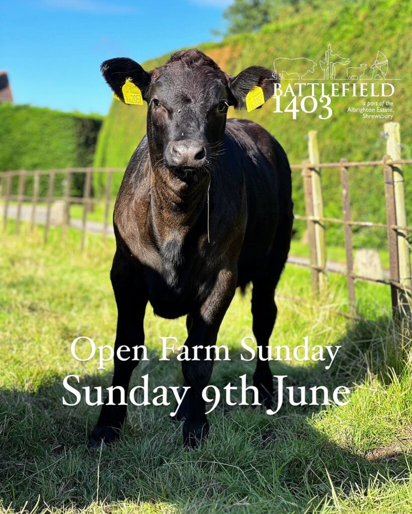 Open farm Sunday @Battlefield 1403