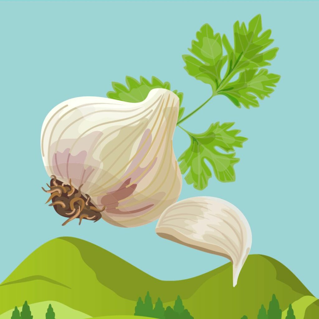 Wild Garlic Forage and Pesto Workshop