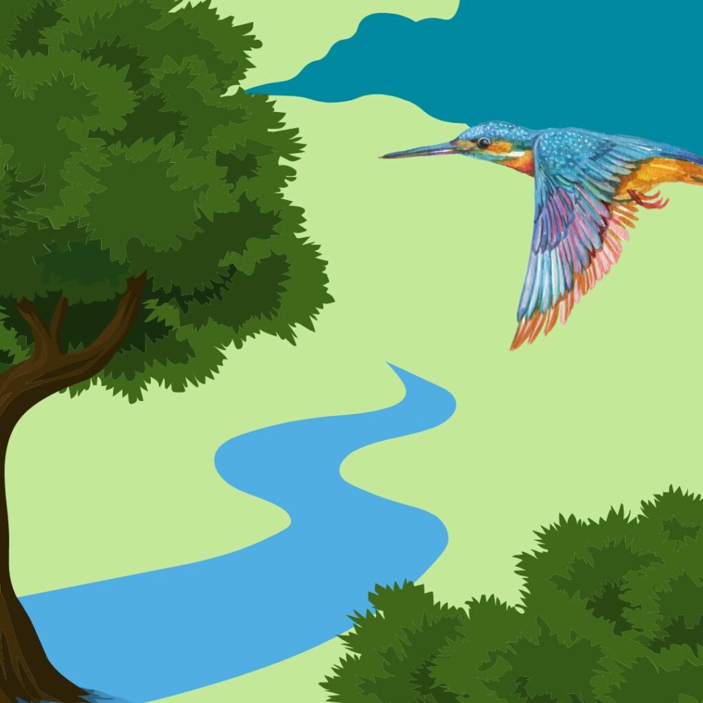 Wildlife Walk