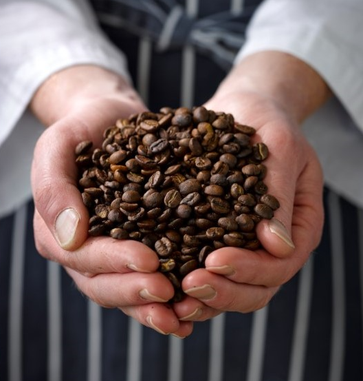 Coffee School