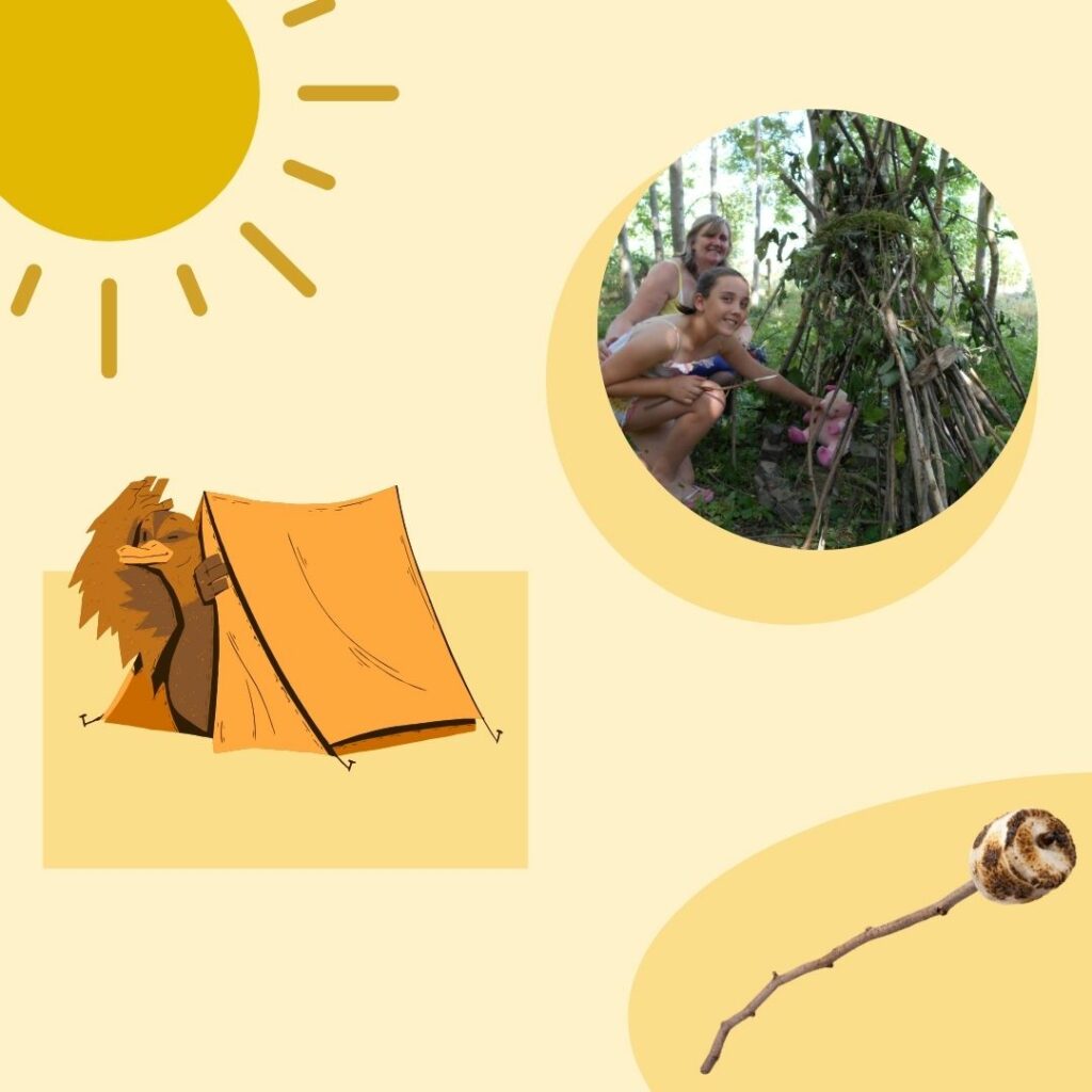 Summer Holiday Activity - Wild Homes