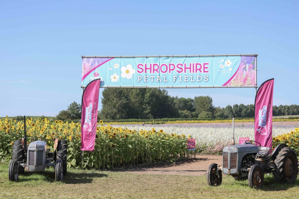 Ticket Release Date Announced for Shropshire Petal Fields