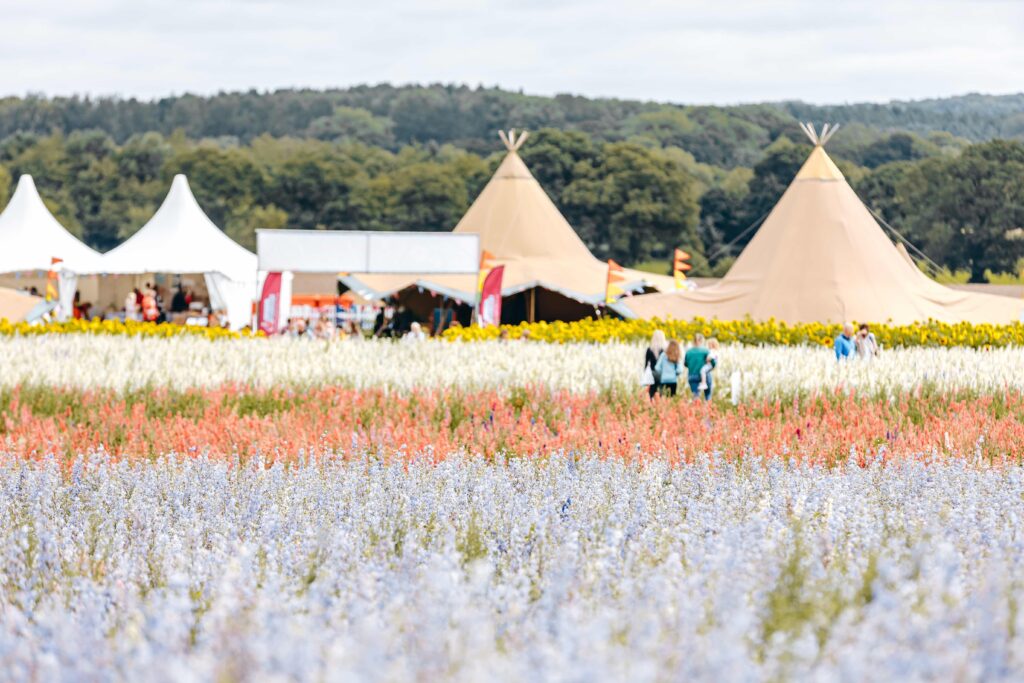 unset tickets, dog friendly days and plenty of flowers at Shropshire Petal Fields