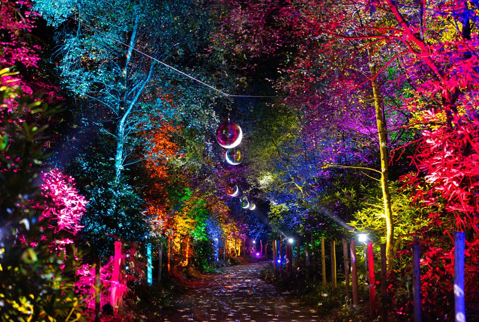 Twig or Treat at The Glorious Glowing Lantern Parade