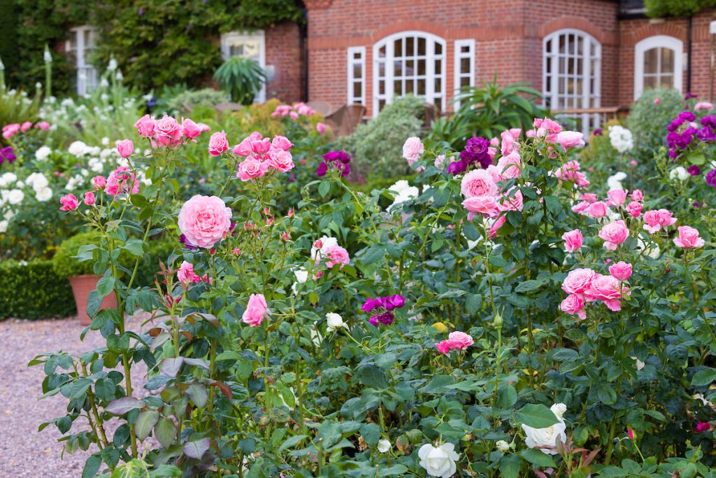 Planning the Summer Garden Workshop